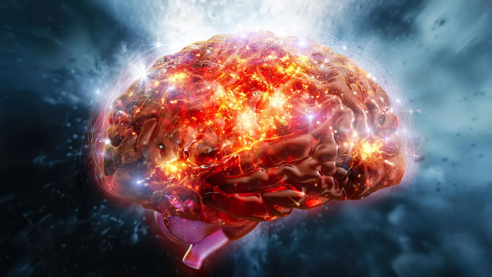 Astringent Taste from Flavanols May Boost Brain Activity