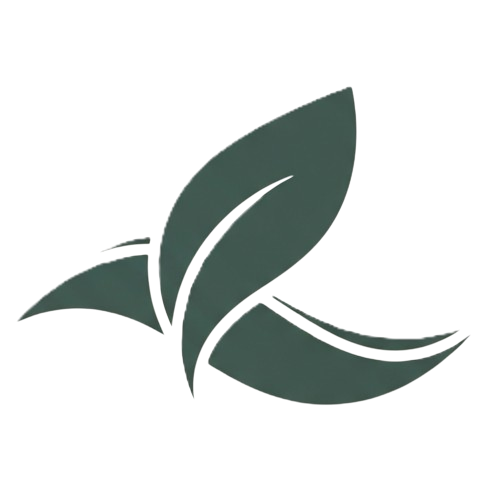 Lifestyle Revamp Guide